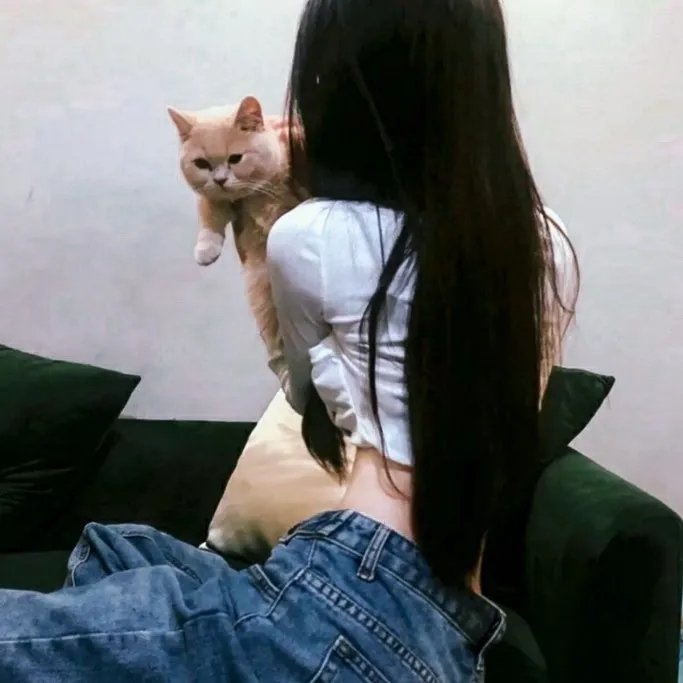 亚瑟与梅林:圣杯骑士在线观看封面